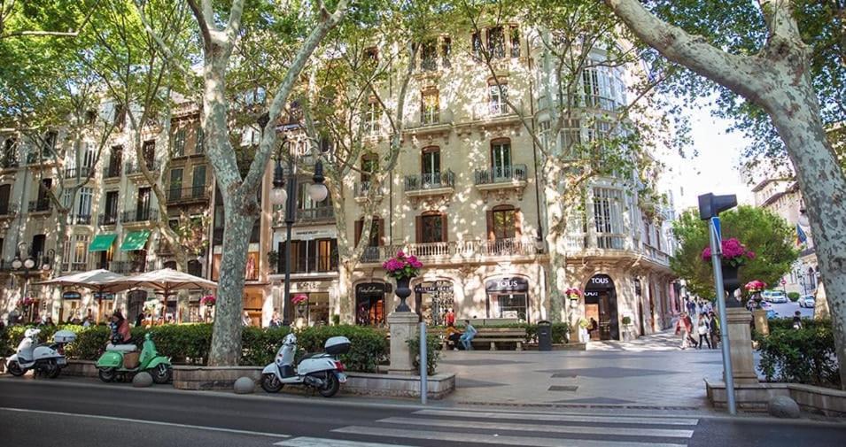 Comfortable Apartment With Character In The Old Town Palma de Mallorca Exteriér fotografie